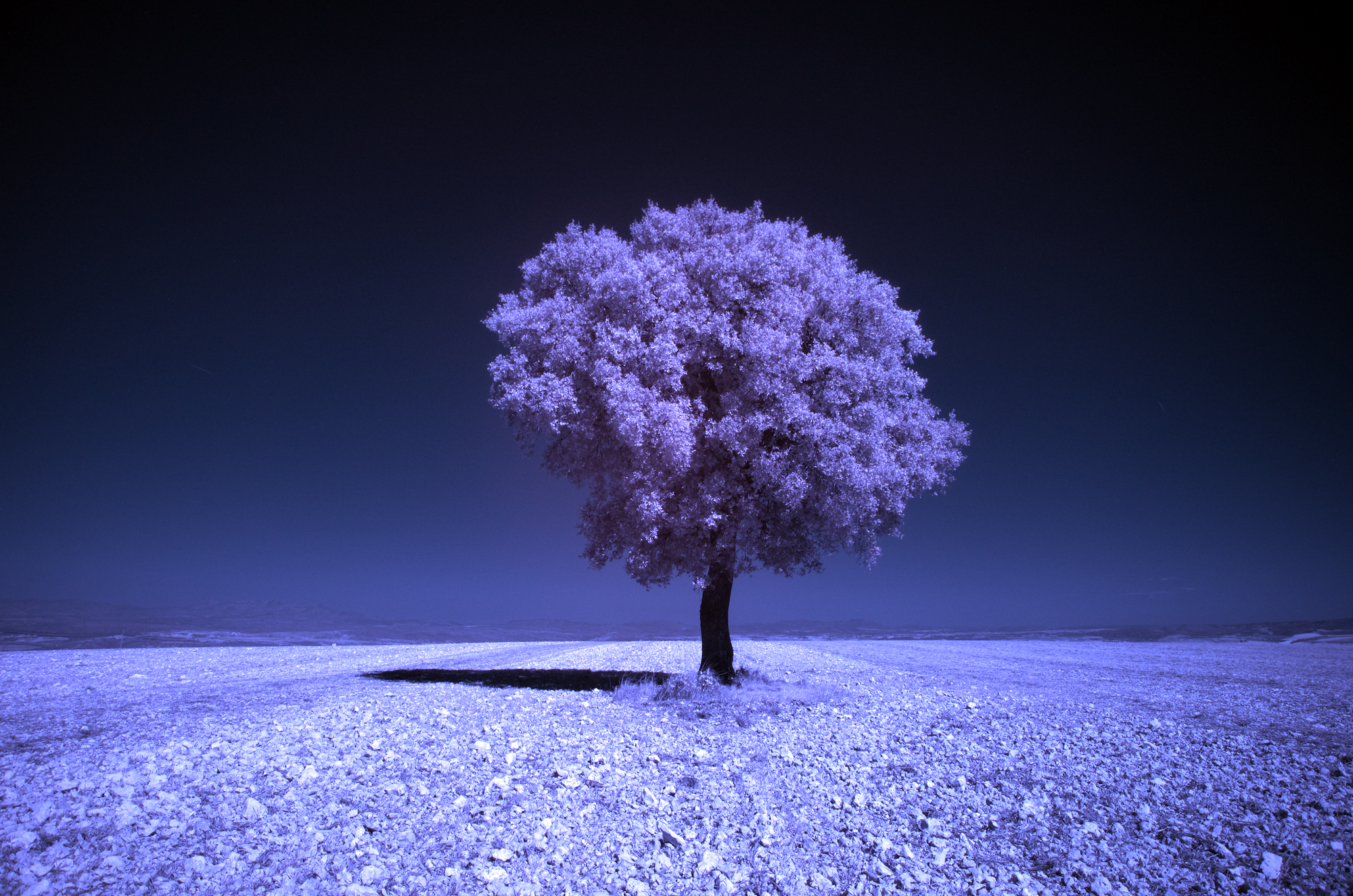 Как превратить пейзажное фото в сюрреалистическое инфракрасное изображение - 5a