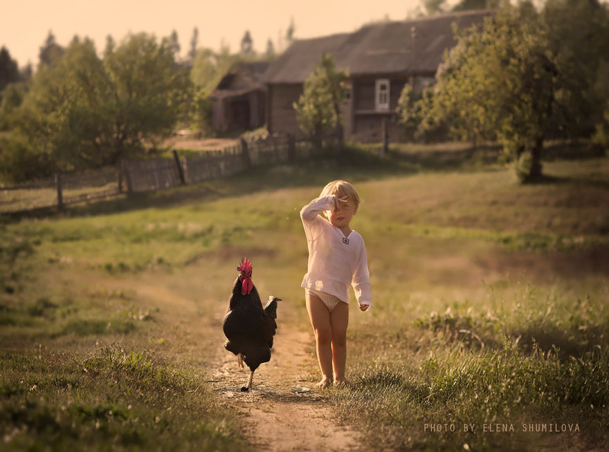 Деревенская идиллия в фотографиях Елены Шумиловой-36