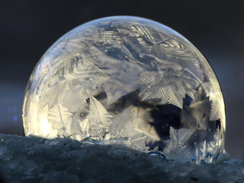 Что произойдёт, если надуть мыльные пузыри на морозе - фото (10)