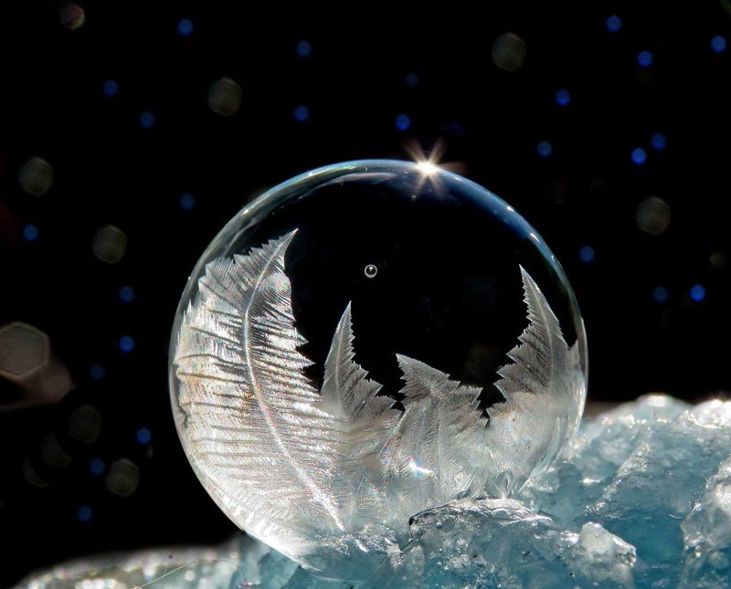 Что произойдёт, если надуть мыльные пузыри на морозе - фото (2)