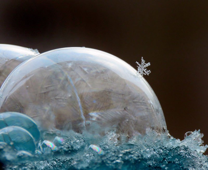 Что произойдёт, если надуть мыльные пузыри на морозе - фото (13)