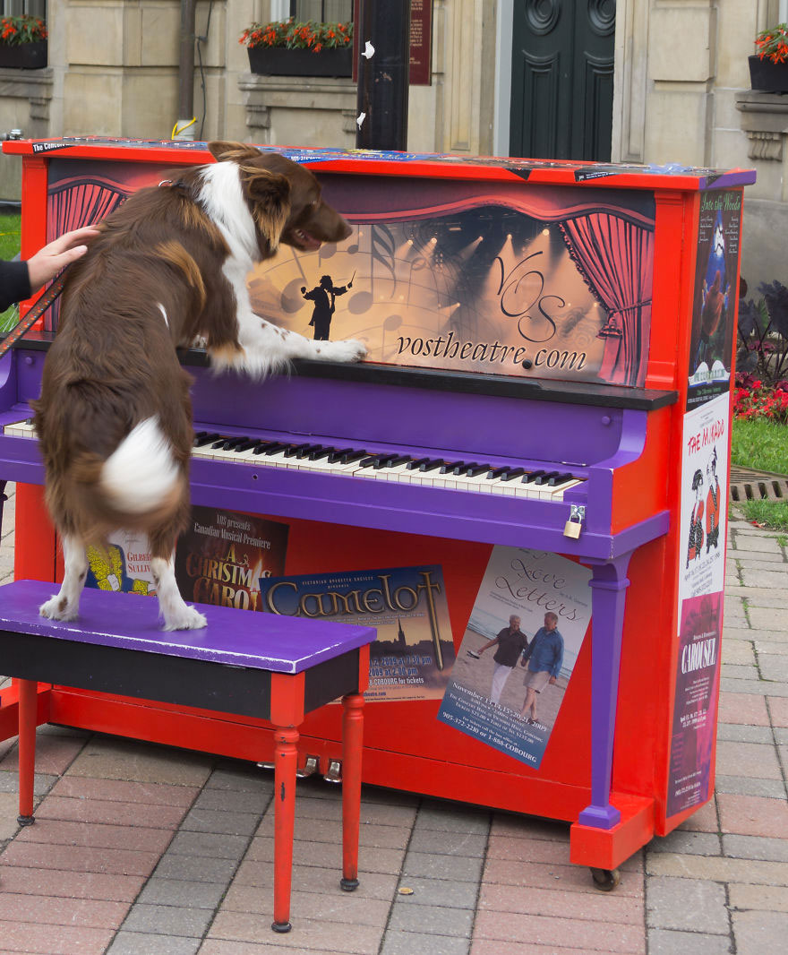 69 раскрашенных уличных пианино в разных городах мира-46