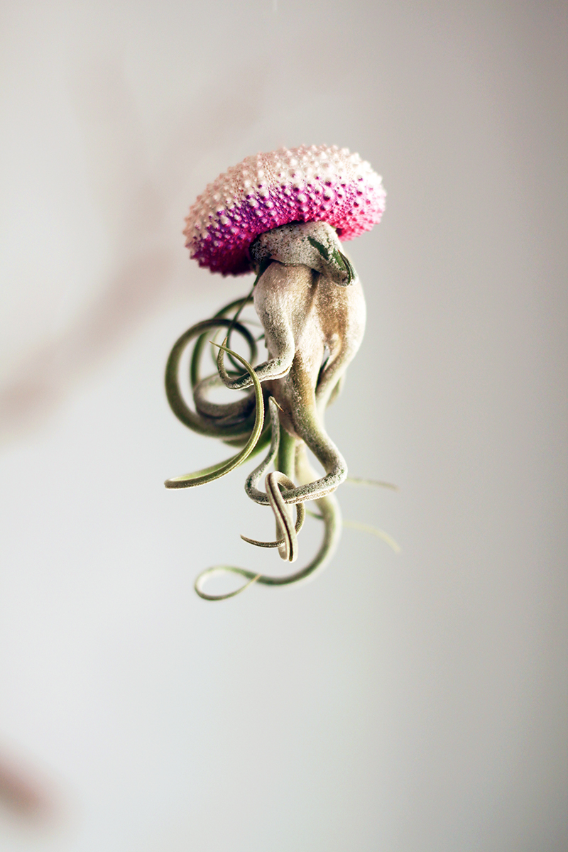 Воздушные медузы в креативных цветочных горшках - 7