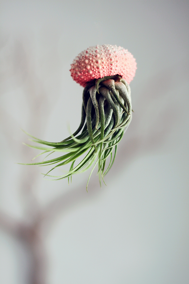 Воздушные медузы в креативных цветочных горшках - 3