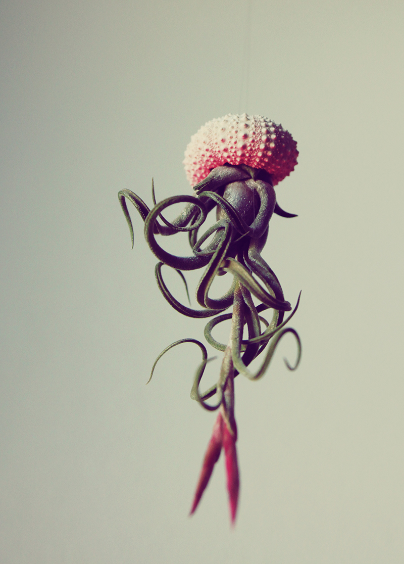 Воздушные медузы в креативных цветочных горшках - 1