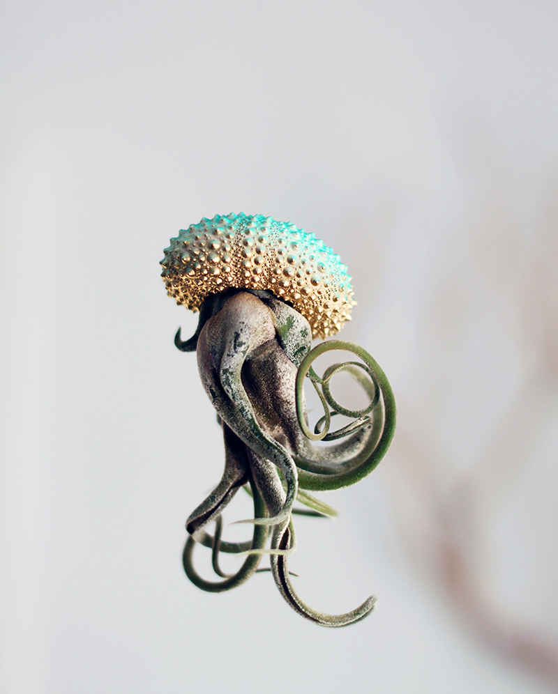 Воздушные медузы в креативных цветочных горшках - 2