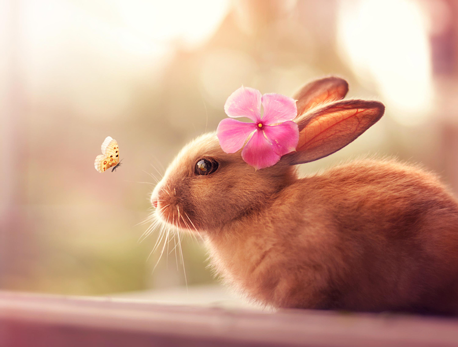 Photograph Welcome Spring by Ashraful Arefin on 500px