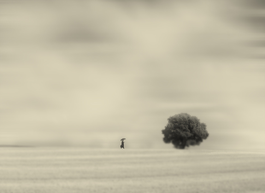 Блестящий фотопроект о таинственном одиноком человеке