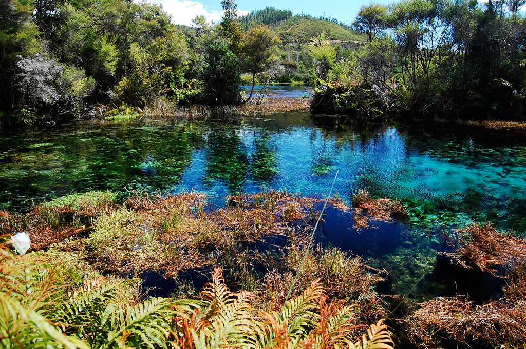 Озеро Пупу Спрингс, Новая Зеландия