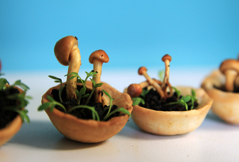 Edible Growth: 3D-печать живой еды-2
