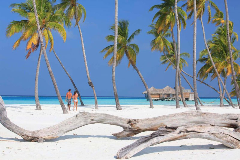 Гили Ланкафуши на Мальдивах - лучший отель 2015 года по версии TripAdvisor (27)
