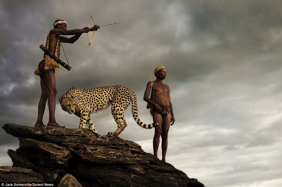 Охотники из древнего племени не боятся диких гепардов - фотограф Джек Сомервилль - 1