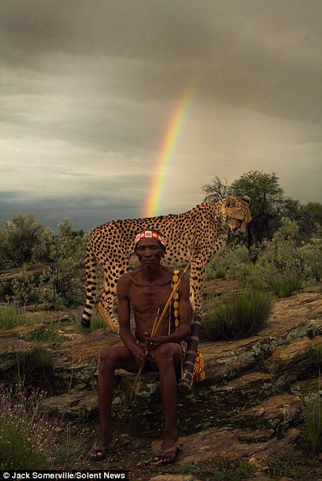 Охотники из древнего племени не боятся диких гепардов - фотограф Джек Сомервилль - 6
