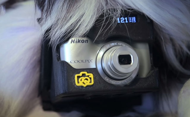 Nikon «Heartography» - фотоаппарат для собак, срабатывающий при учащении пульса - 5