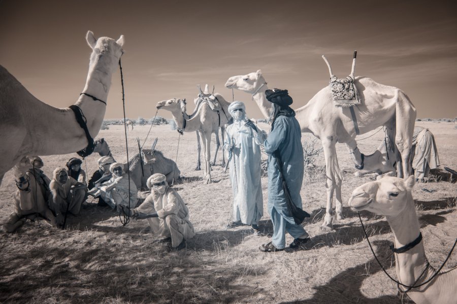 Кочевые племена Нигера в инфракрасных фотографиях Терри Голд-7