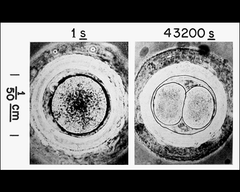 izobrazheniya NASA 29