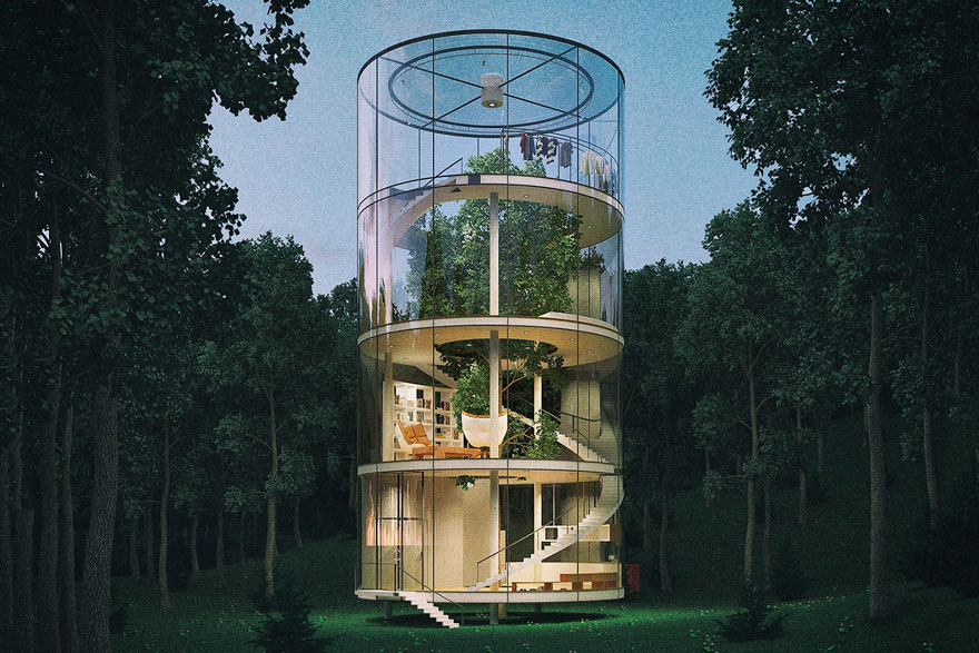 Cтеклянный дом построенный вокруг дерева в лесу