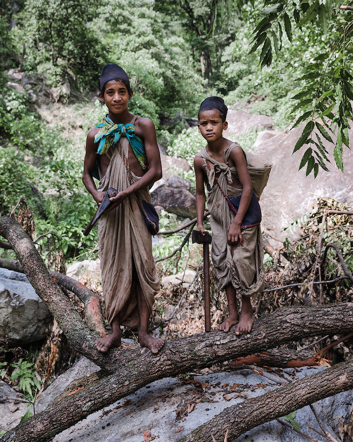 «Короли леса»: фотопроект о последних охотниках-собирателях Гималаев