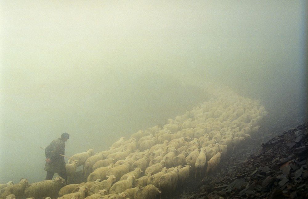 «Путь пастуха». Фотограф Дмитрий Гомберг 10