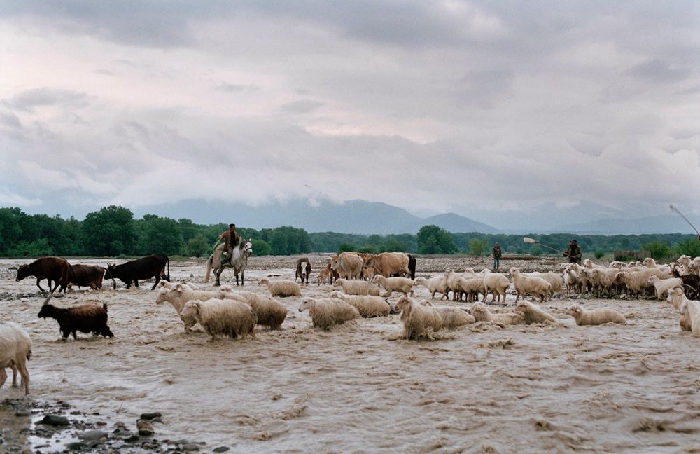 «Путь пастуха». Фотограф Дмитрий Гомберг 6