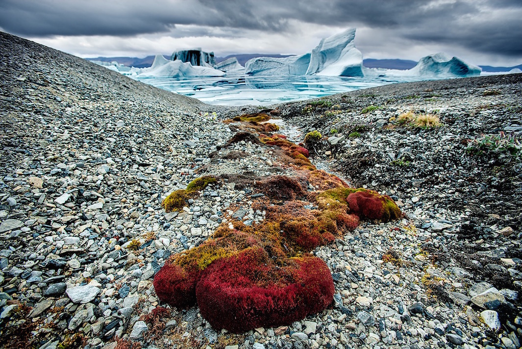 Arktika Fotograf Sebastyan Kouplend 3