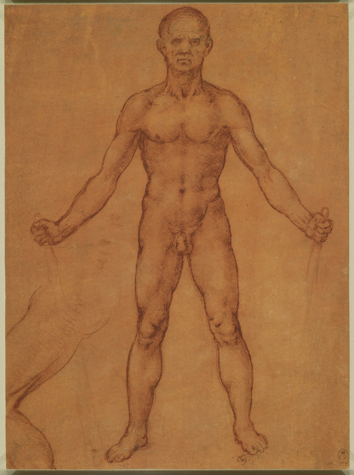 Анатомические рисунки Леонардо да Винчи в оцифрованном виде - 7