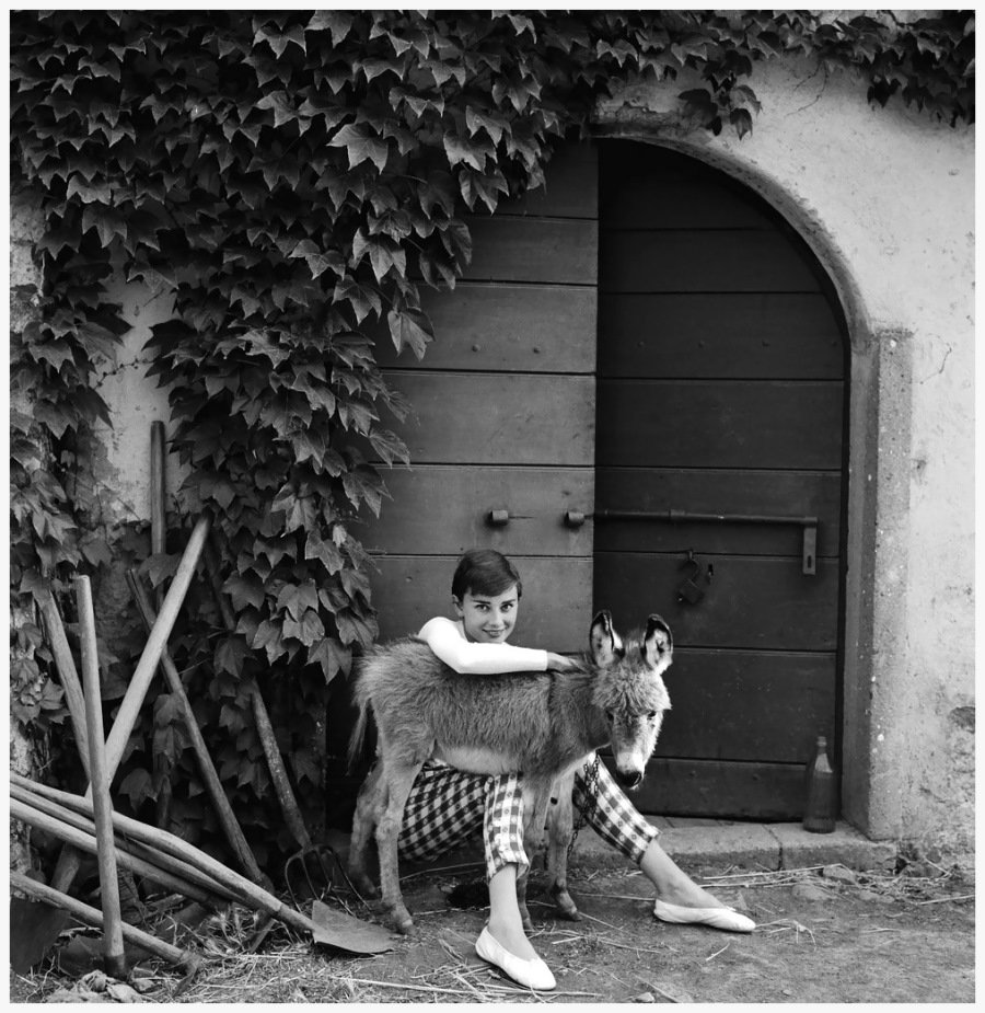Норман Паркинсон – эксцентричный британский мастер фотографии - 38