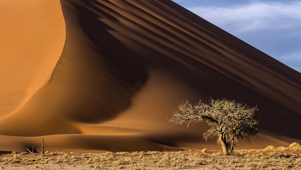 Dyuna v Namibii