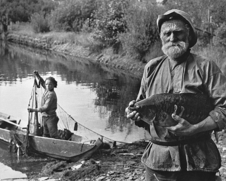 Советская история в фотографиях легендарного Дмитрия Бальтерманца 1 59