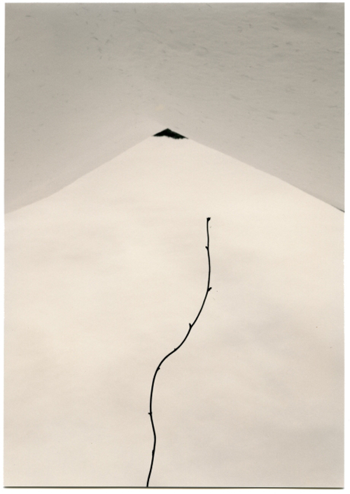 минимализм в фотографиях Масао Ямамото 44