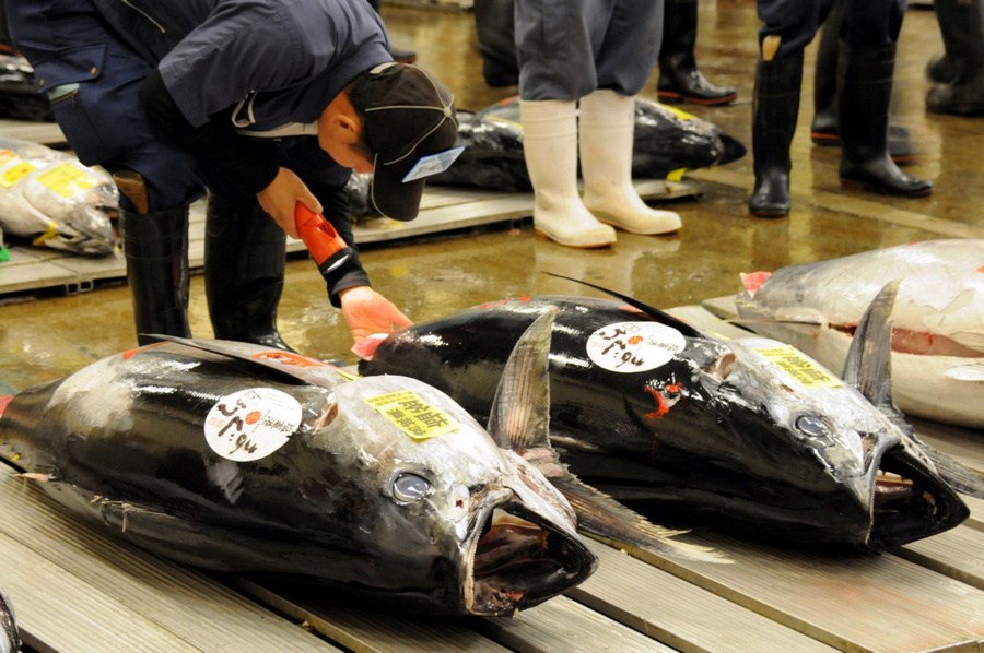 Рыбный рынок Цукидзи в Токио  38