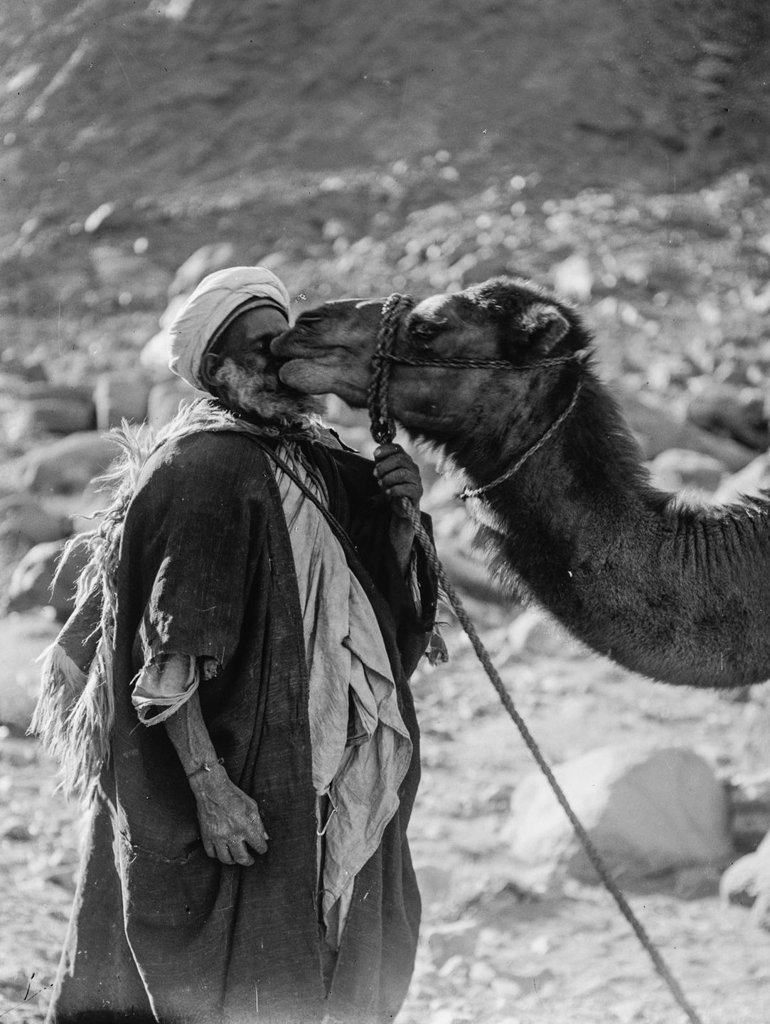 Бедуины в исторических фотографиях  35