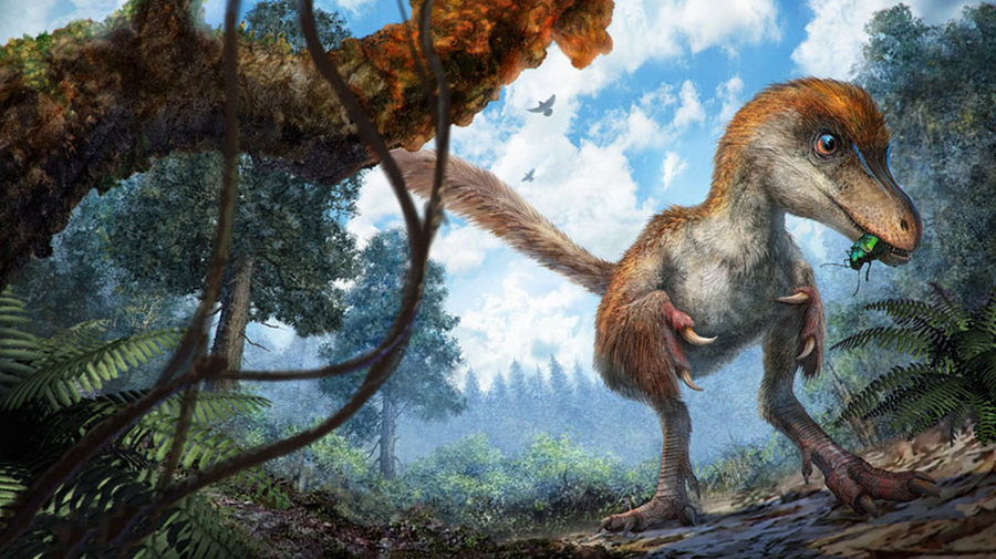 Хвост динозавра в янтаре 8