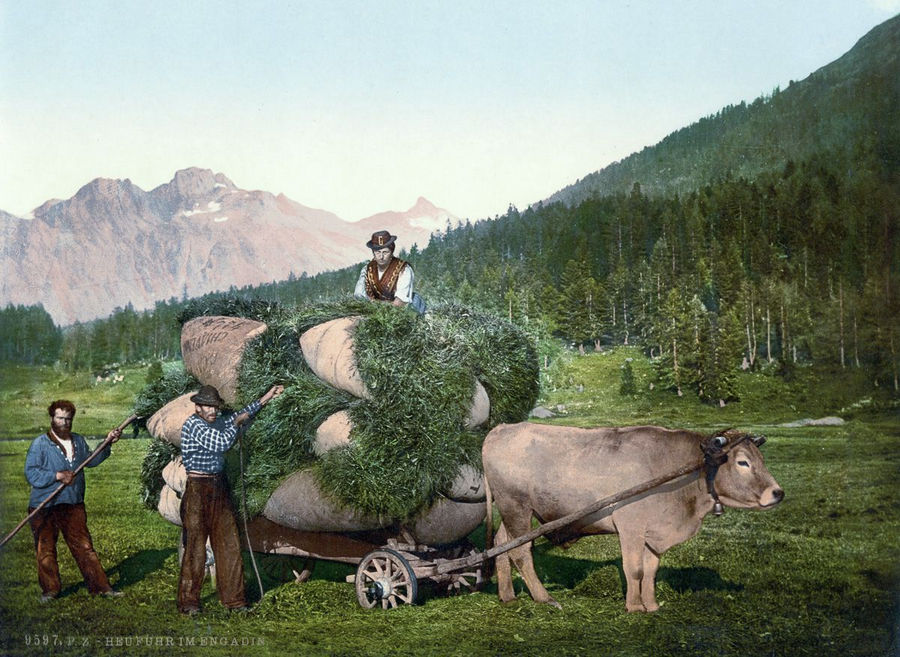 Великолепие Швейцарии в открытках 1890 года 22