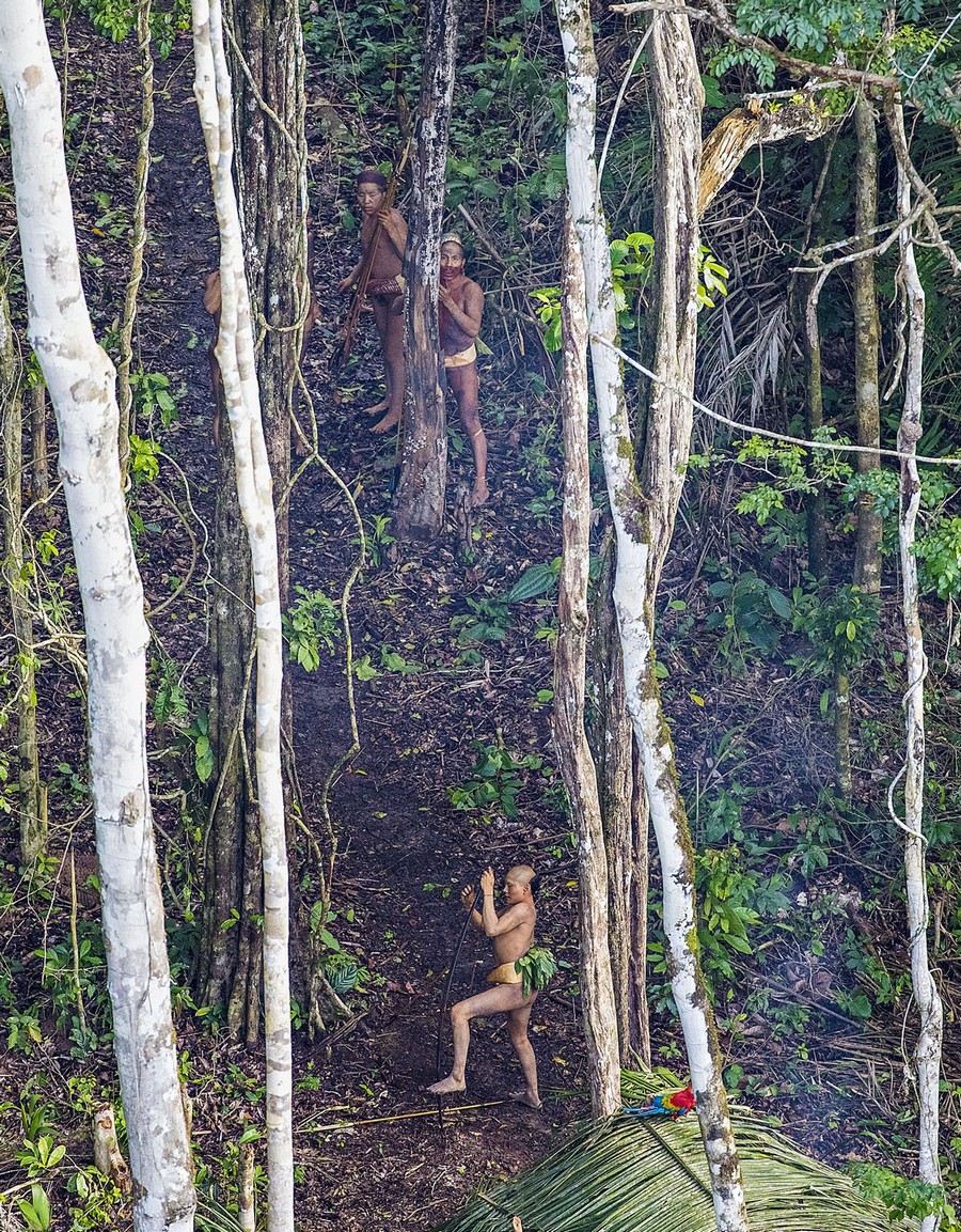 Неизвестное племя в джунглях Амазонии 3