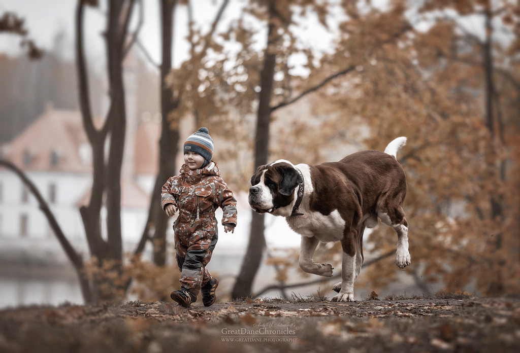 Энди Селиверстов фотографии детей и их больших собаках 12