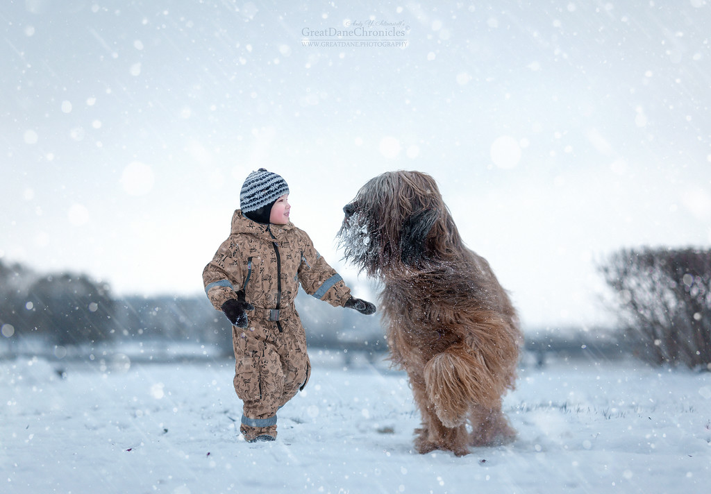 Энди Селиверстов фотографии детей и их больших собаках 2