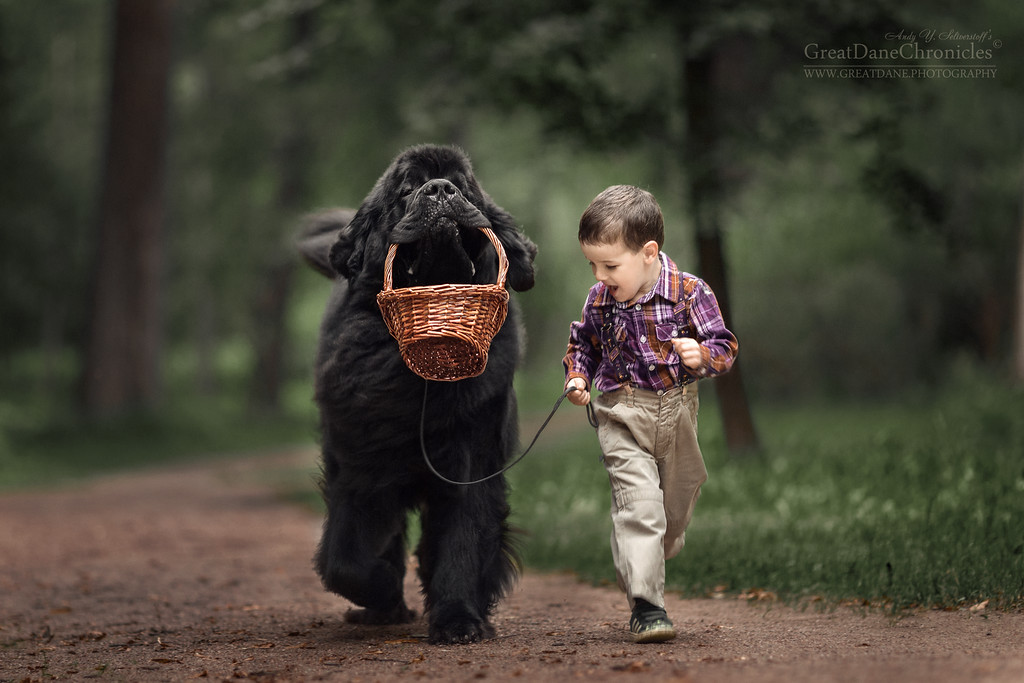 Энди Селиверстов фотографии детей и их больших собаках 29