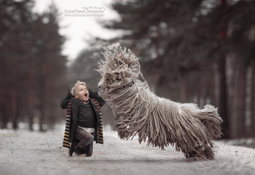 Энди Селиверстов фотографии детей и их больших собаках 31