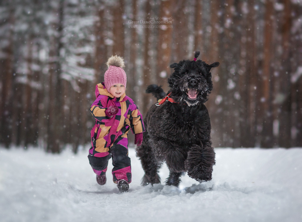 Энди Селиверстов фотографии детей и их больших собаках 4