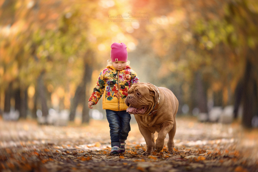 Энди Селиверстов фотографии детей и их больших собаках 6
