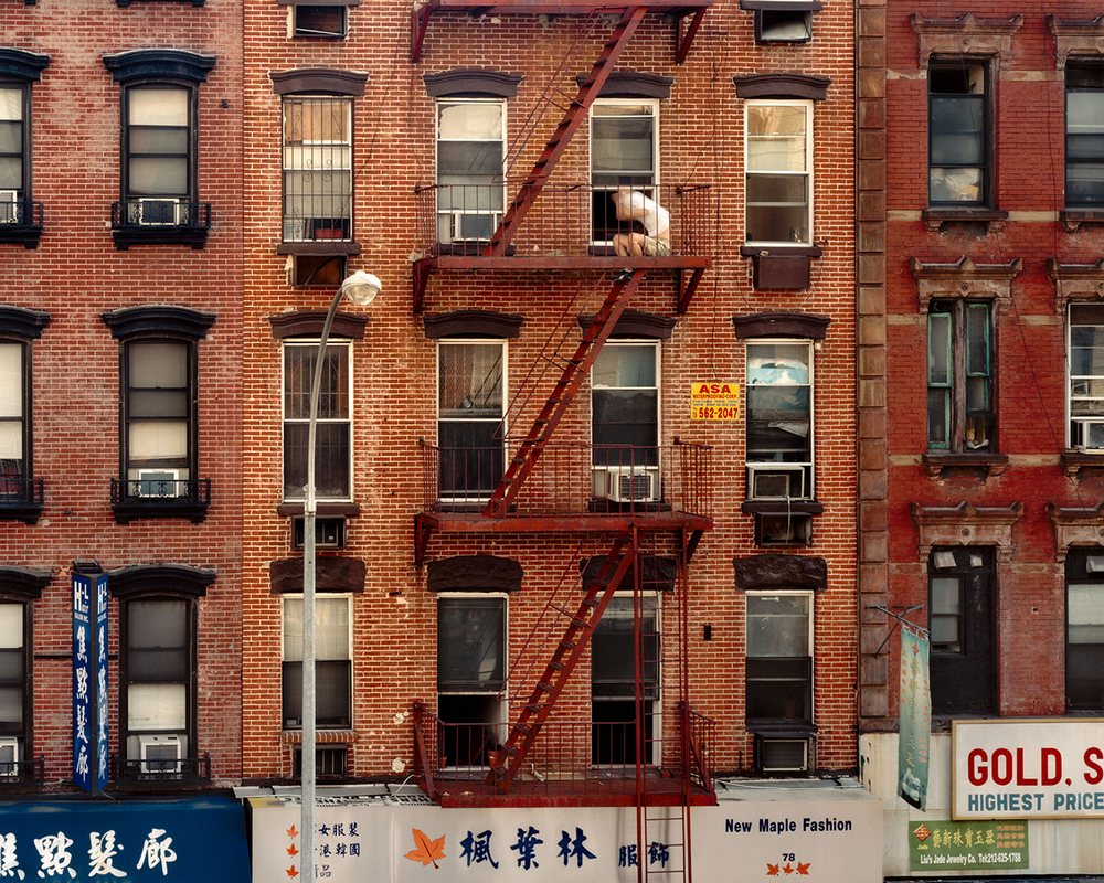 «Из моего окна»: фотограф Гейл Алберт-Халабан заглянула в окна жителей Нью-Йорка 14