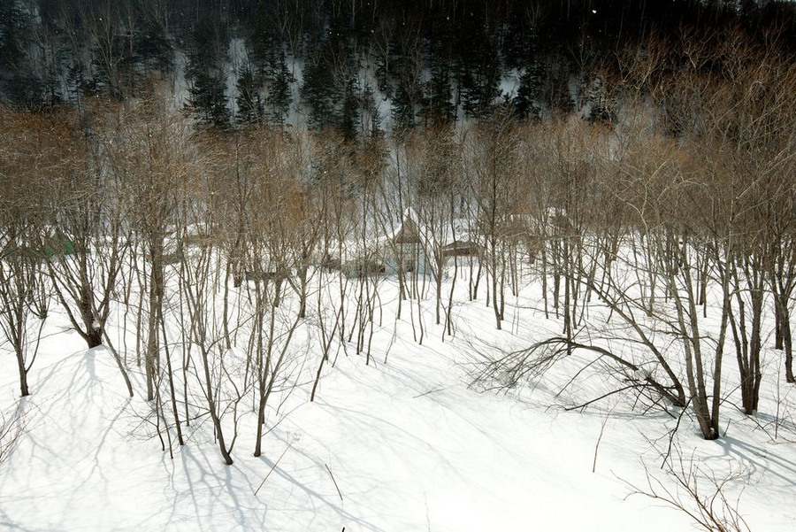 Красота русской зимы в фотографиях Елены Чернышовой 21