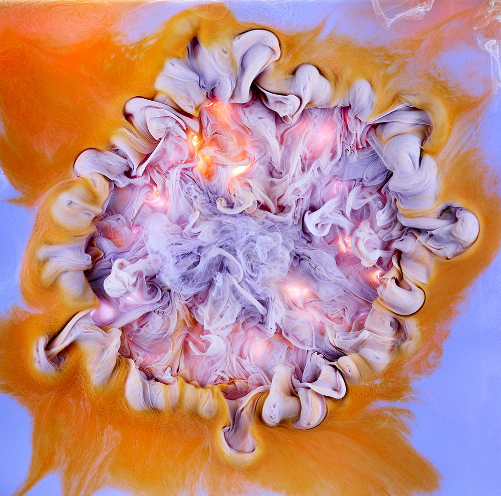 Розы из воды в фотографиях Марка Моусона 4