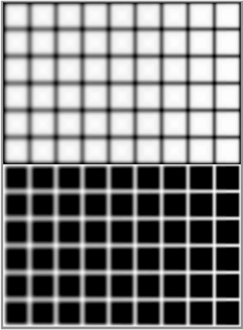 Оптическая иллюзия 1