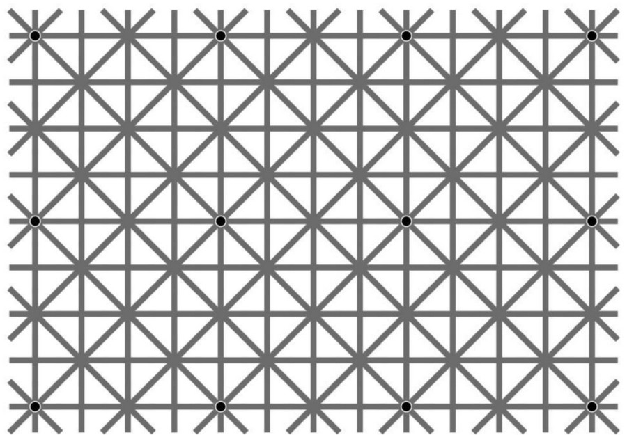 На картинке всего 12 чёрных точек, но оптическая иллюзия не даст вам их увидеть одновременно 