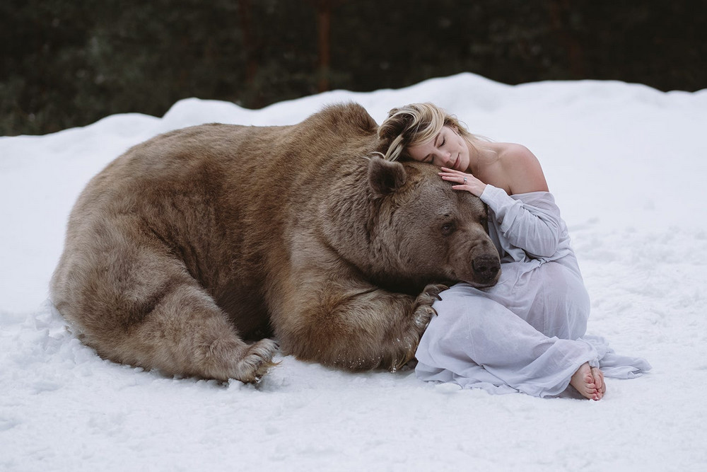 Фотограф Ольга Баранцева. Фотосессии с дикими животными и творческие портреты 14