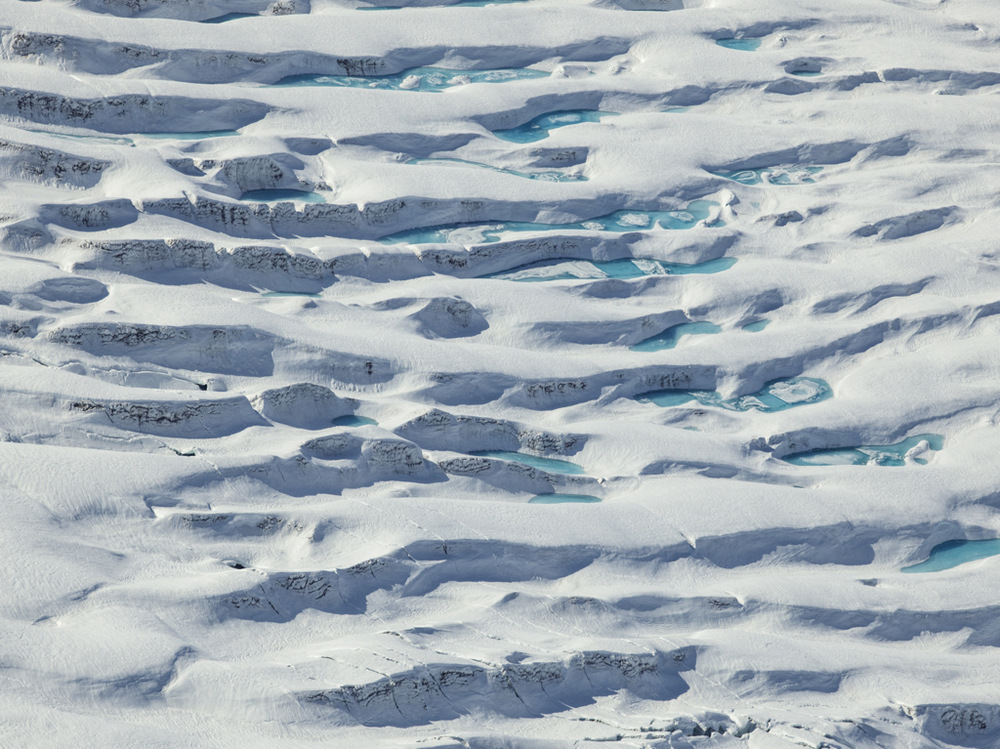 Арктика в фотографиях Дайан Тафт  10