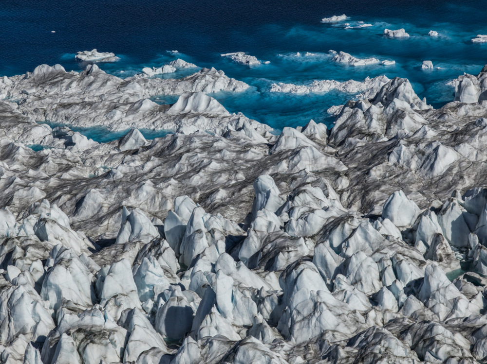Арктика в фотографиях Дайан Тафт  12