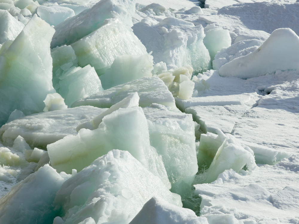 Арктика в фотографиях Дайан Тафт  13